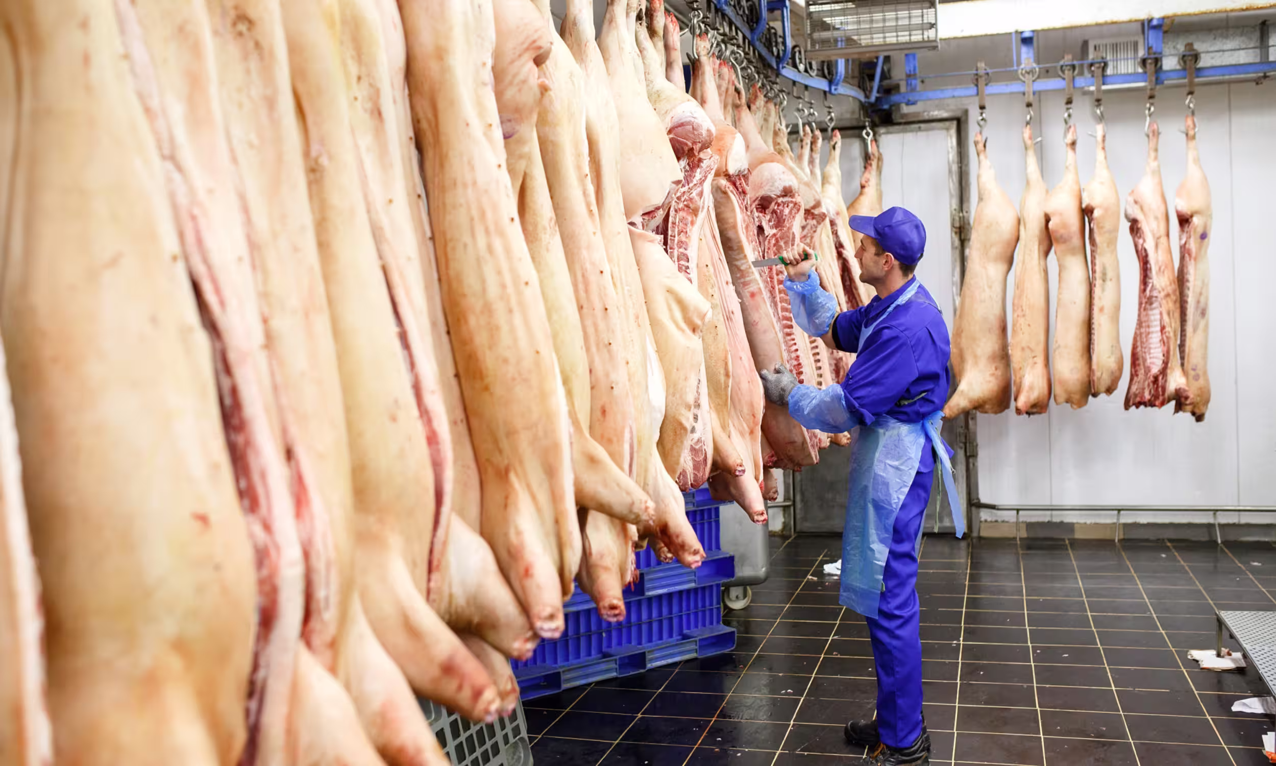 Cadena de frío para la industria alimentaria