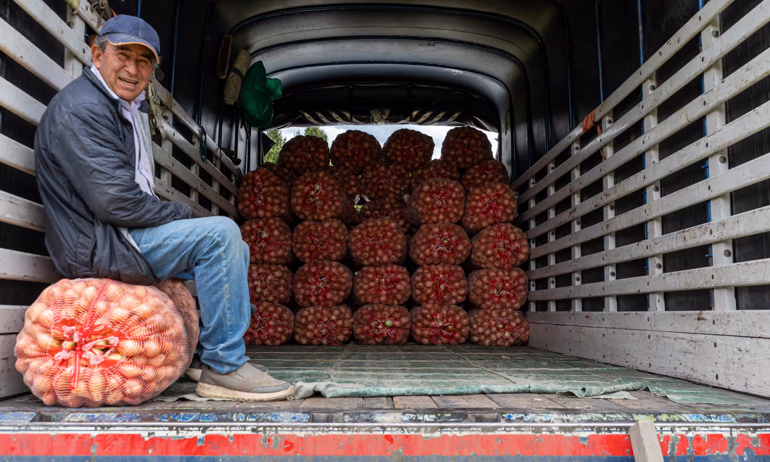 Cebollas para exportación