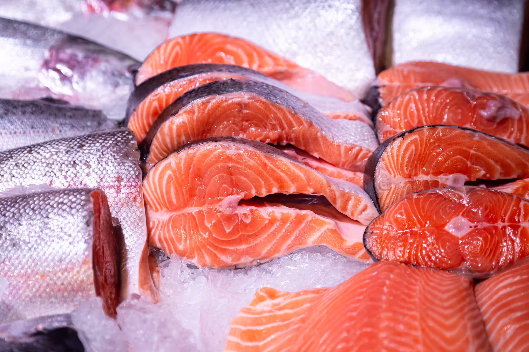 Cortes de salmón naranja