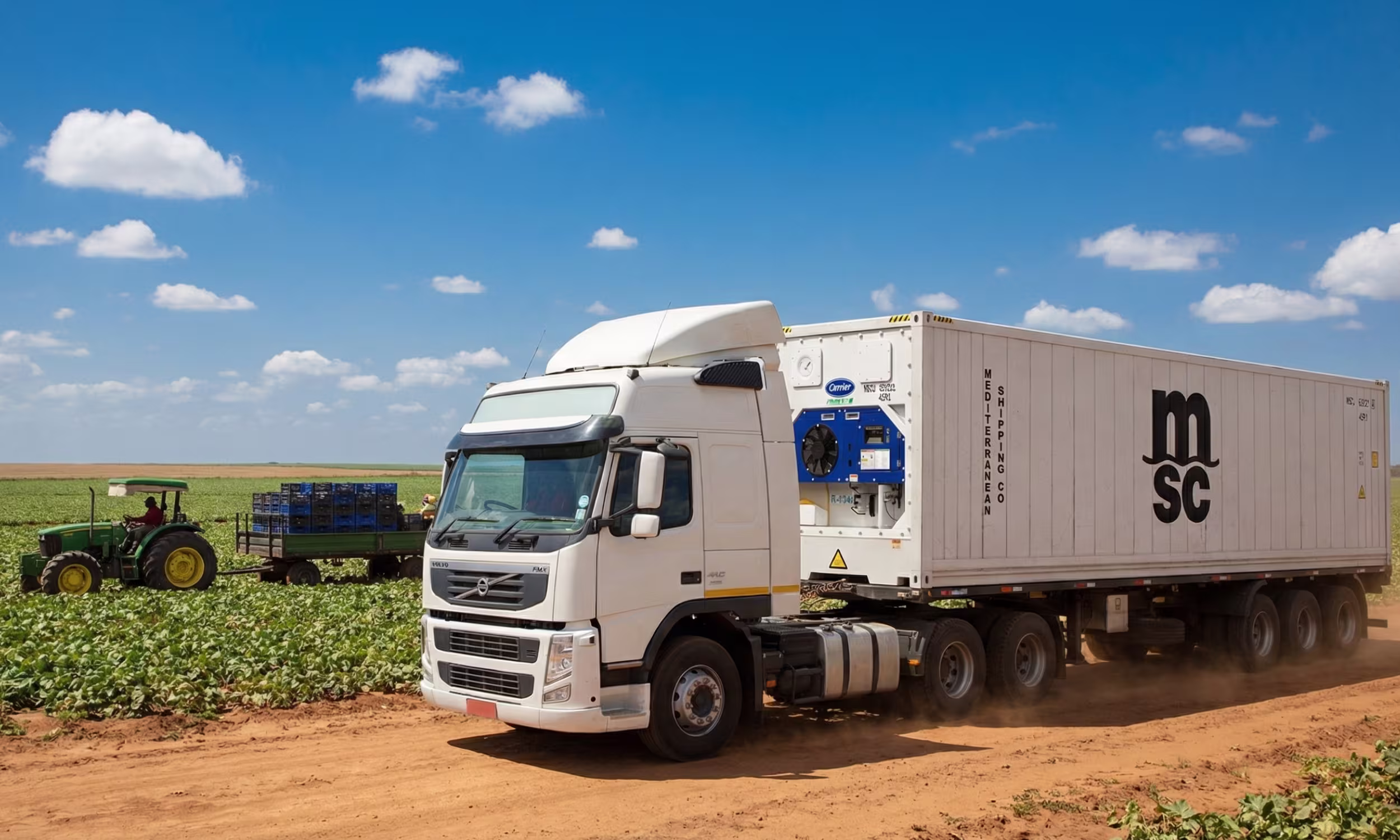 ZBRReefer Transport07
